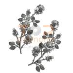 POL RÓŻA SPAWANA 30cm CHROM " ) "